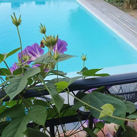 Bed & Breakfast La Gouillette En Camargue Bellegarde (Gard)