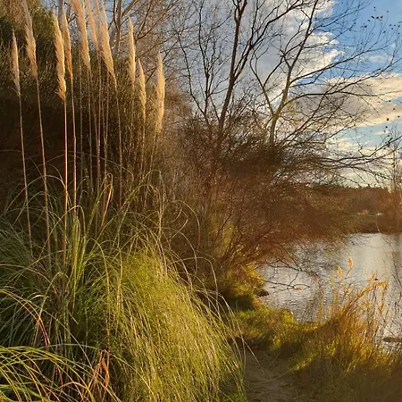 La Gouillette En Camargue * Bellegarde (Gard)