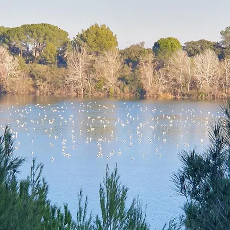 La Gouillette En Camargue Bellegarde (Gard)